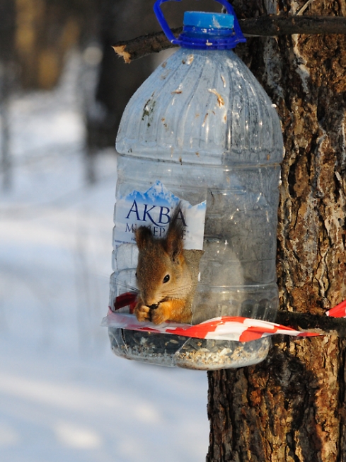 Аква минерале