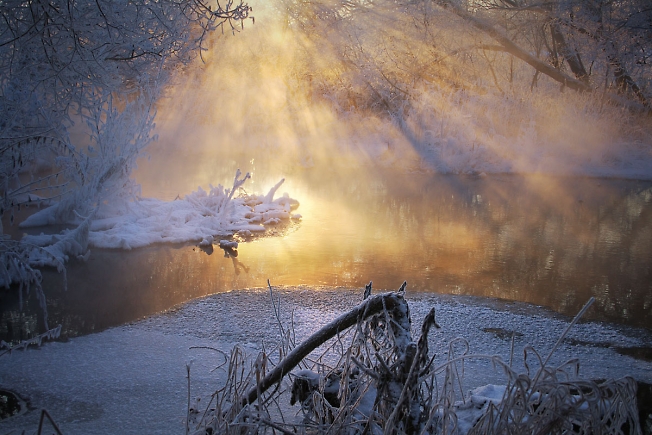 Сауна для водяного