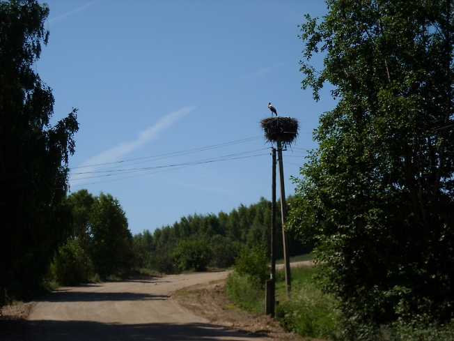 Аист на связи