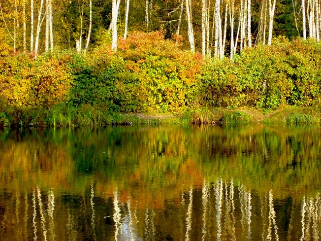 Осень