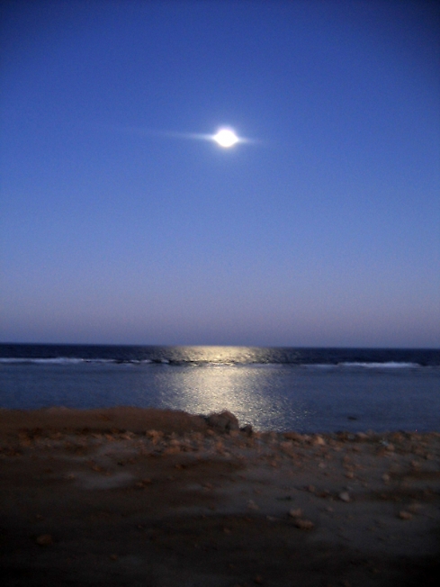 Лунная дорожка