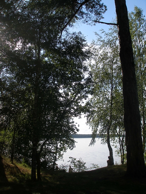В темно-синем лесу...