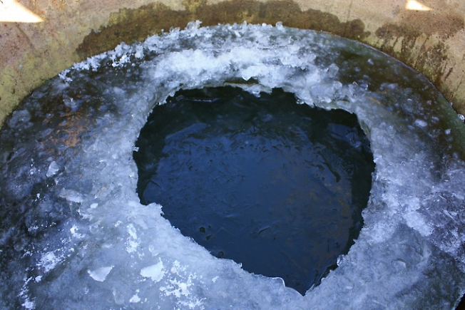 мороз сегодня