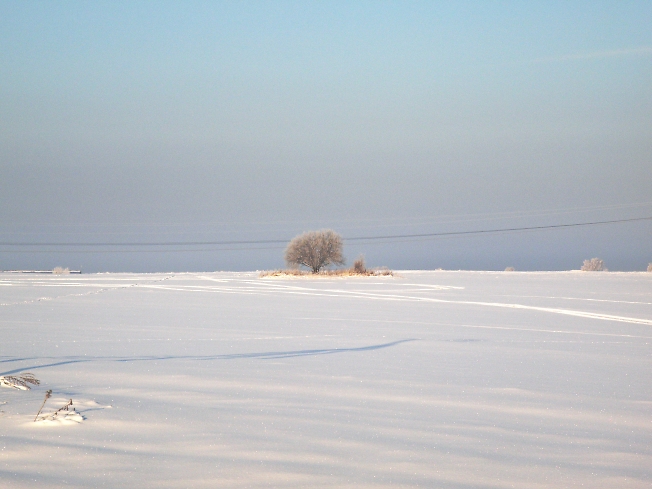 Одиночество