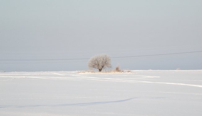 Одиночество-2
