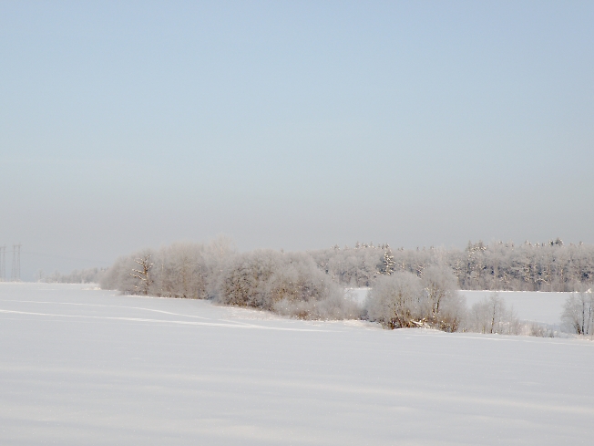 Холод