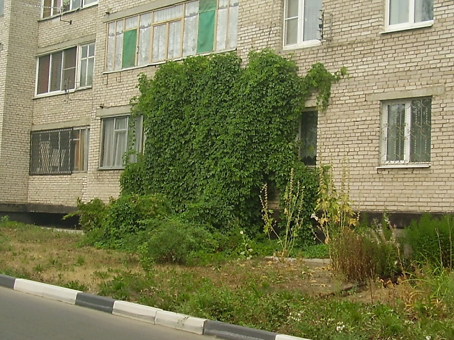 Спрятались от солнышка