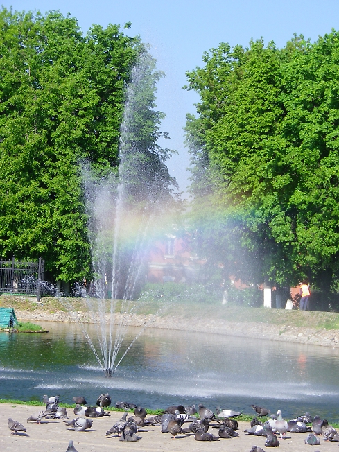 утром радует