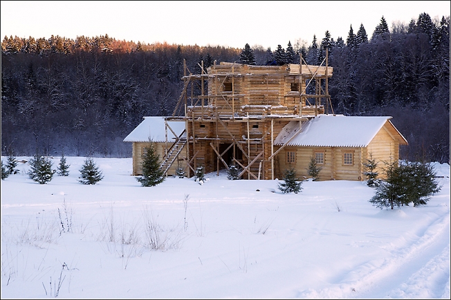 Гремячий. Хроники. 11.01.2010 15:34