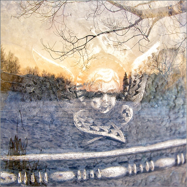 Evening angel