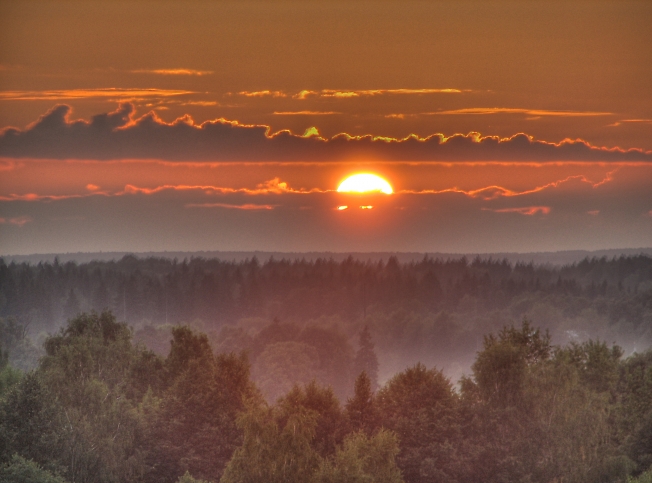 Фото сделано младшим сыном.