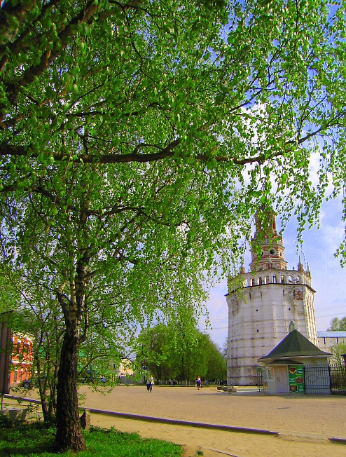 Весна в любимом городе!