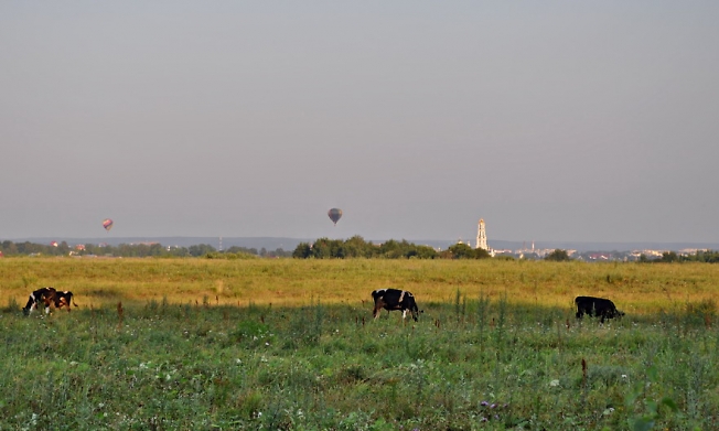 За городом