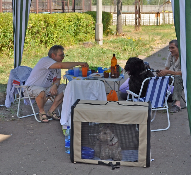 В домике
