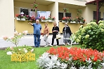 Администрация округа приглашает принять участие в конкурсе цветников «Цветы Сергиева Посада»