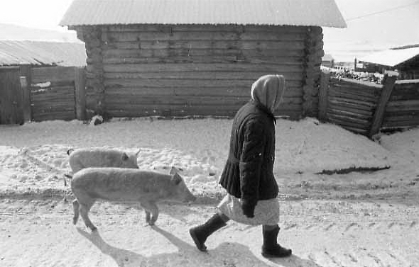 Такие Дела Фото