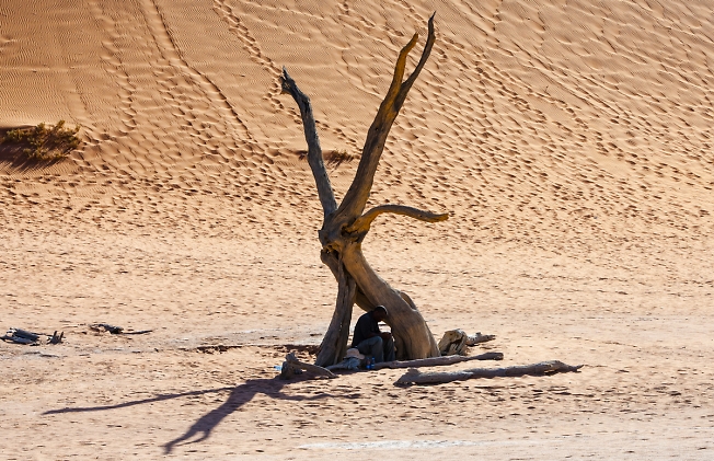  "СПАСИТЕЛЬНАЯ ТЕНЬ"(пустыне НАМИБ в национальном парке Намиб-Науклюфт)