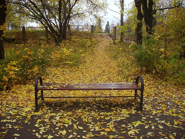 Осенняя Скамейка Фото