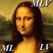 Информация о пользователе. Аватар пользователя MLV