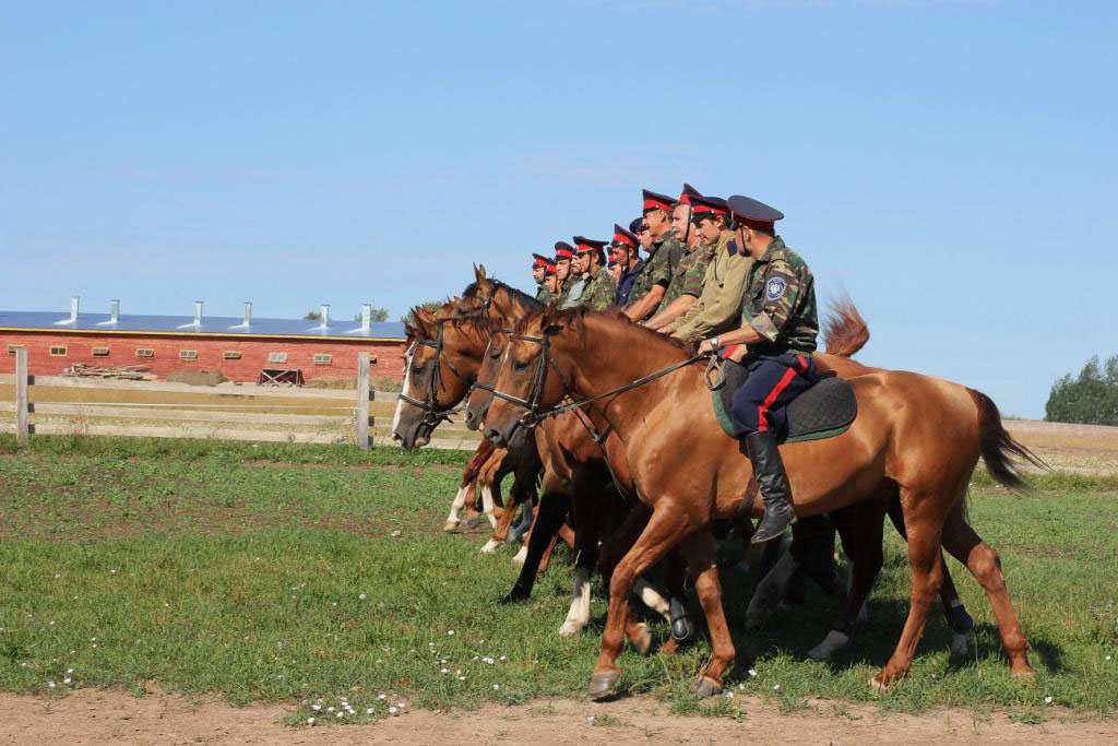 Строевая подготовка. - фото автора prrk на сайте Сергиев.ru