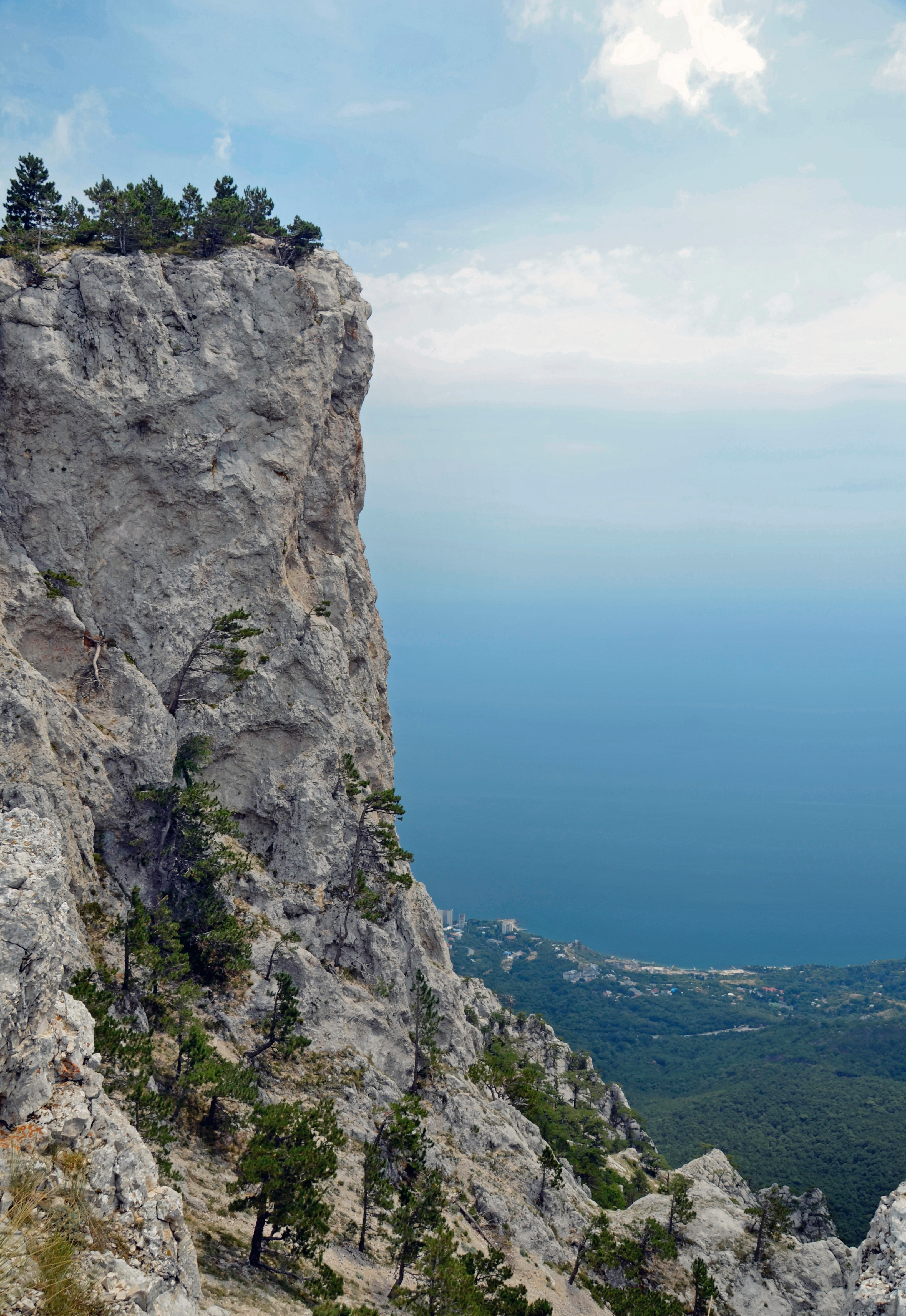 Ай Фото Характеристика
