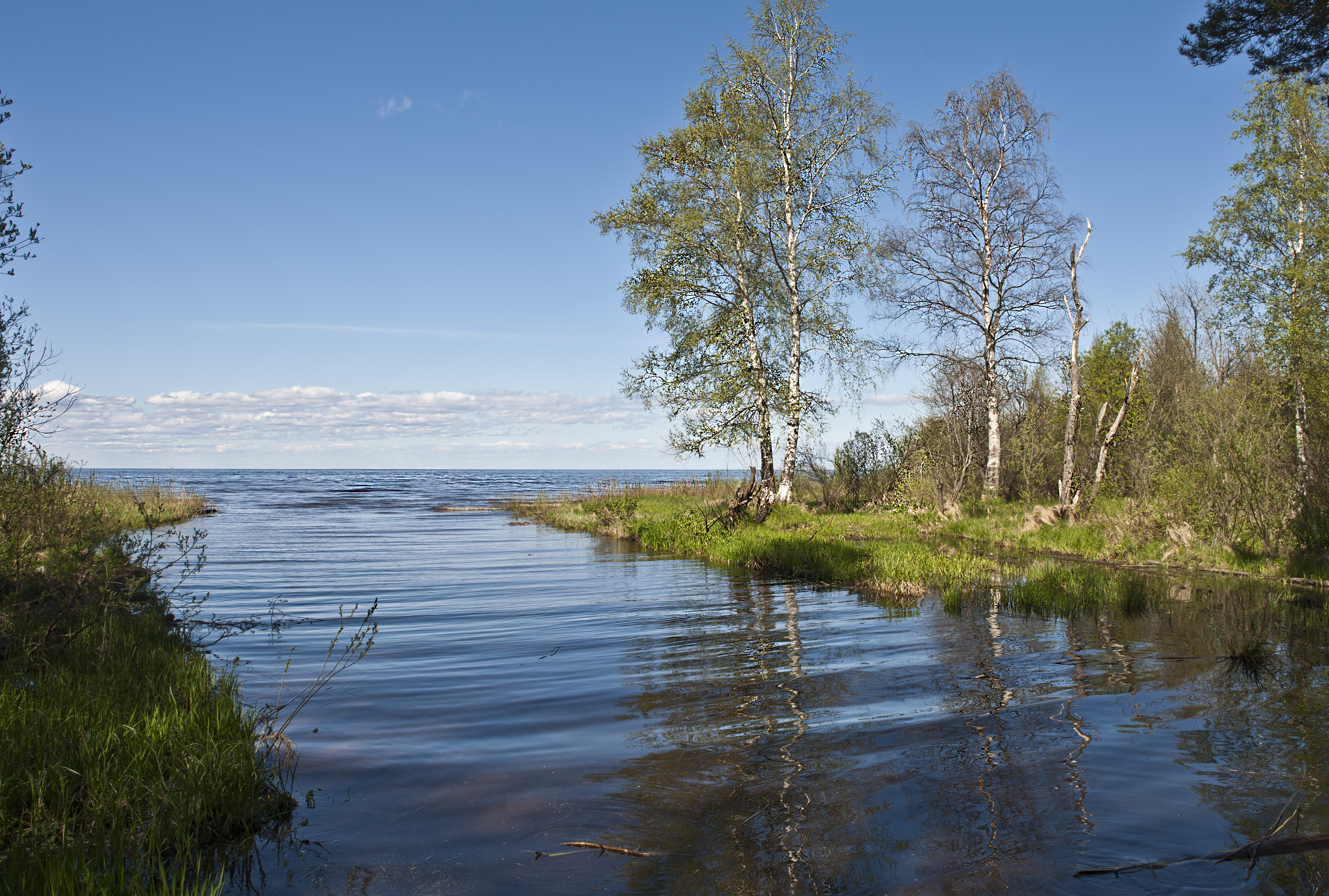 Рыбинский округ. Река Сундоба Рыбинский район. Рыбинское водохранилище. Рыбинский район Красноярский край. Александрова пустынь Рыбинский.