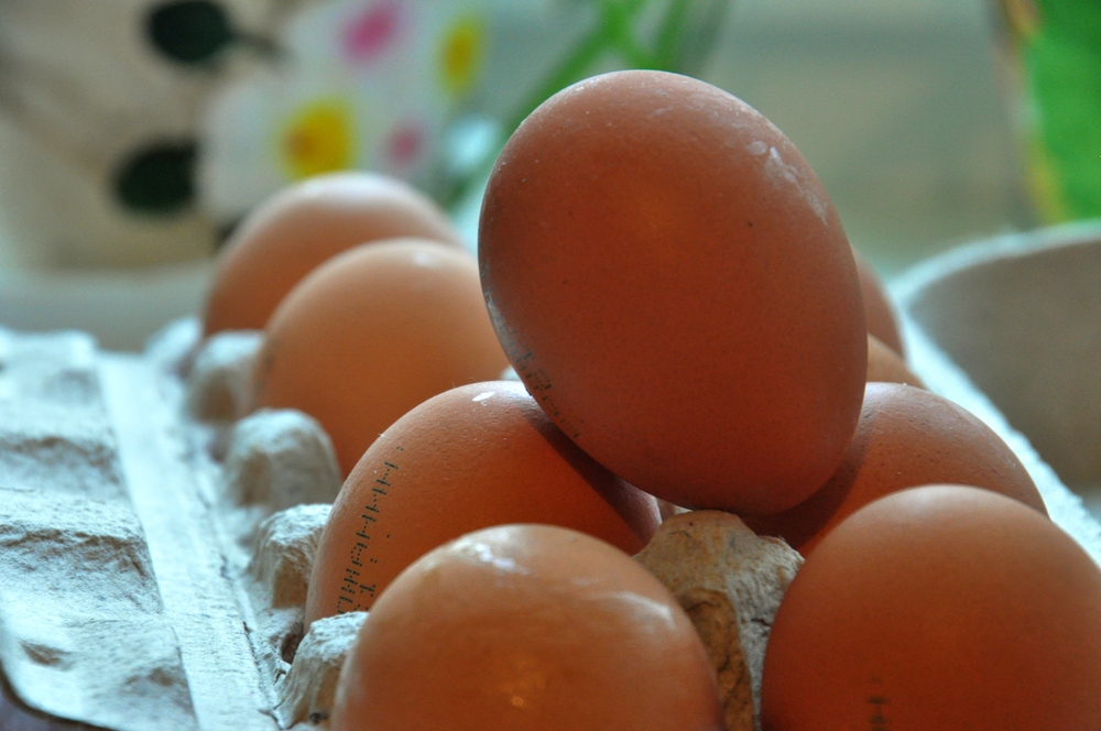 Красивые молодые яйца. Всемирный день яйца (World Egg Day). Любитель яиц. Яичный день. Яйца фото.