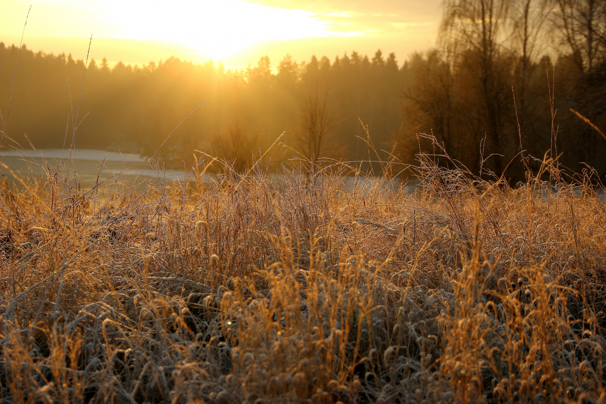 Утро ноября картинки. Морозное ноябрьское утро. Солнечное морозное ноябрьское утро. Доброе морозное осеннее утро. Доброе морозное утро осени.