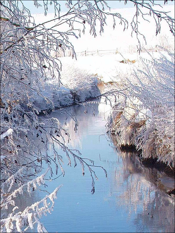 Река торгоша