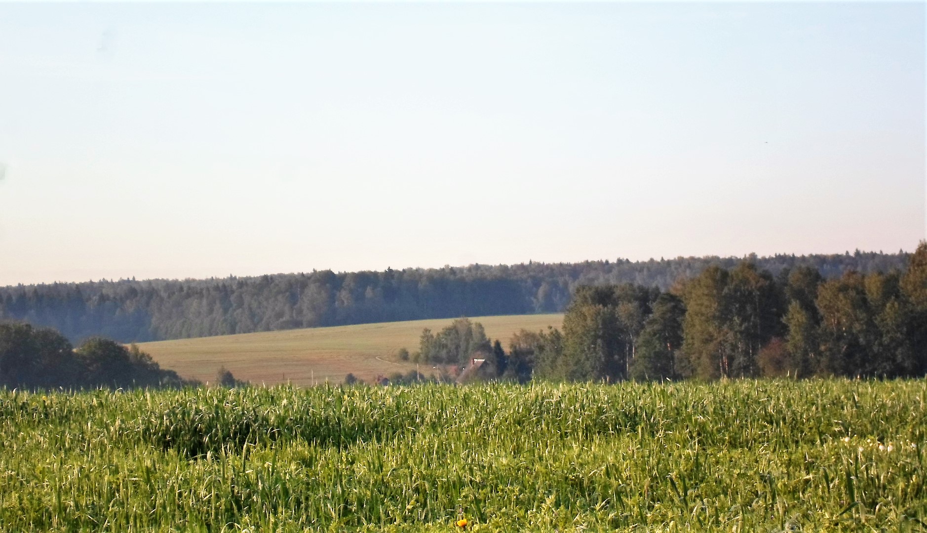 Поселок дальнее поле. Поселок дальнее поле. Поселок дальнее поле. Поселок дальнее поле. Село красная поляна ростовская область.