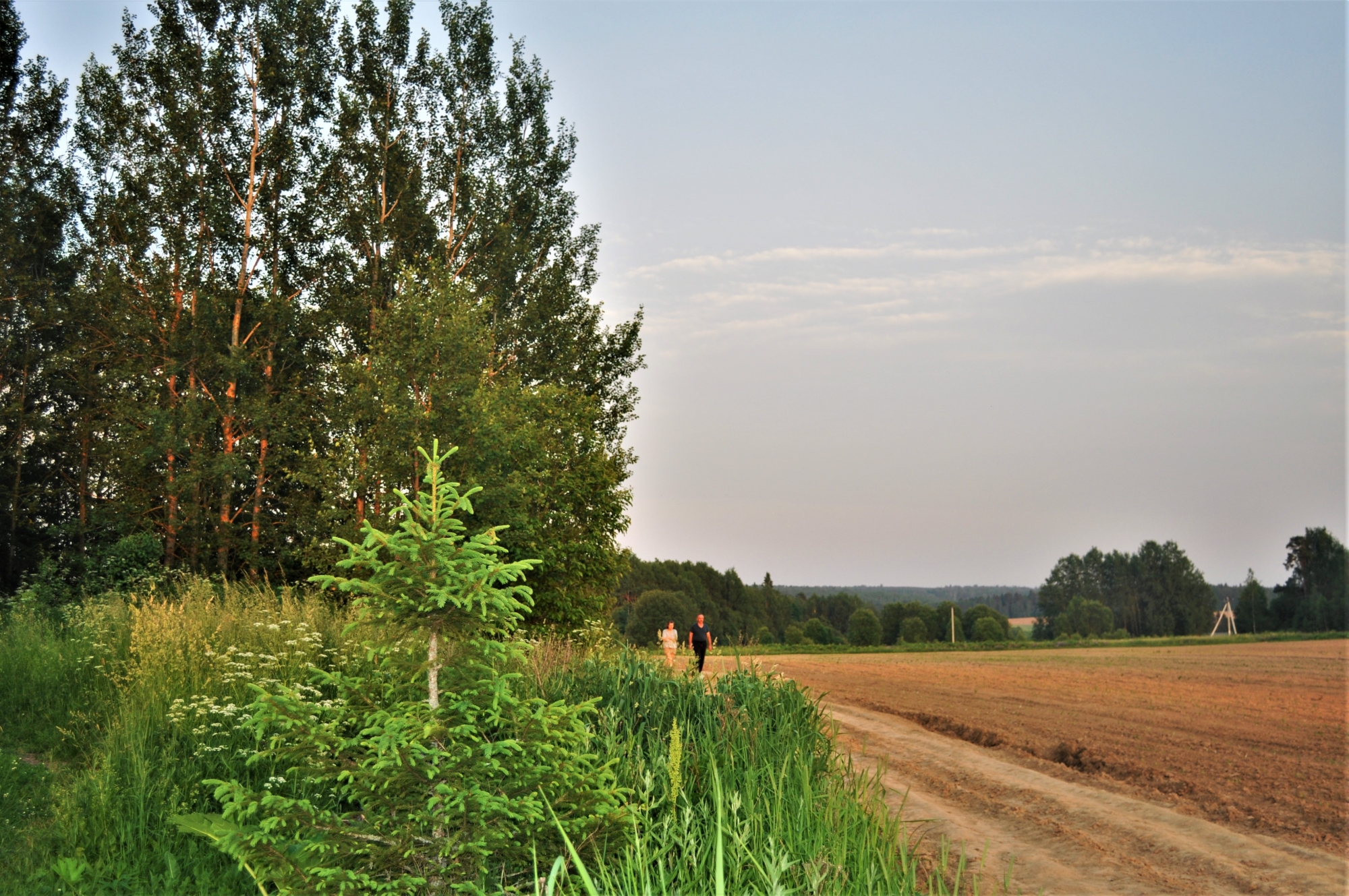 Фото Жаркого Дня